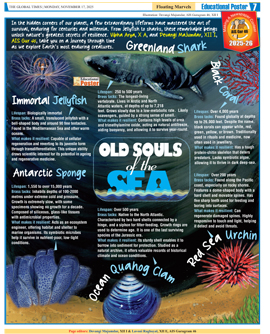 Click to view full page