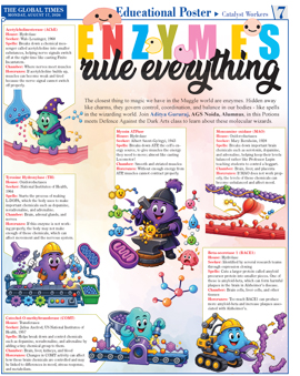 Click to view full page