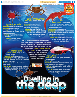 Click to view full page