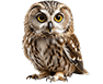 Click to read
